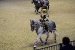 Quadrille - 00800